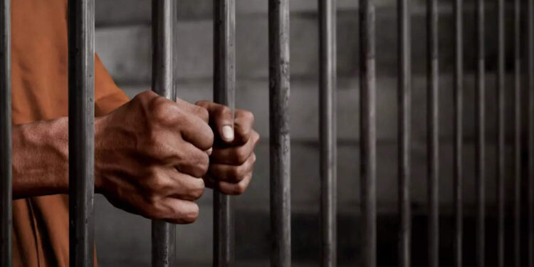 यूक्रेन को 50 डॉलर दान दिया तो रूसी अदालत ने महिला को सुना दी 12 साल की कैद की सजा