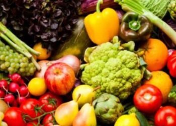 विश्व खाद्य दिवस 2024: सर्वोत्तम स्वास्थ्य के लिए आवश्यक पोषक तत्व