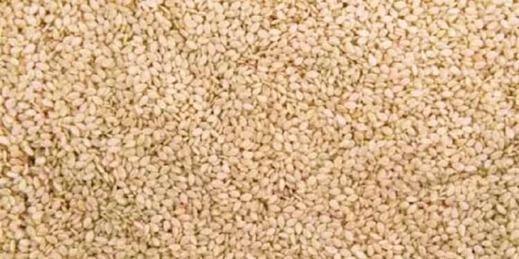 बदलते मौसम में सर्दी, खांसी और जोड़ों के दर्द से हैं परेशान तो एक छोटा सा बीज आपको बना देगा ताकतवर.