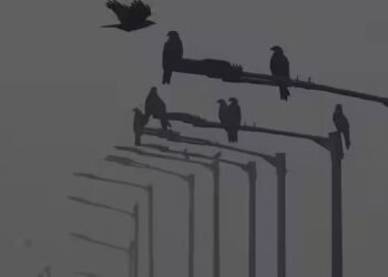 दिल्ली मौसम: राष्ट्रीय राजधानी में कोहरा छाए रहने की संभावना, आईएमडी ने और अधिक सर्दी का अनुमान जताया