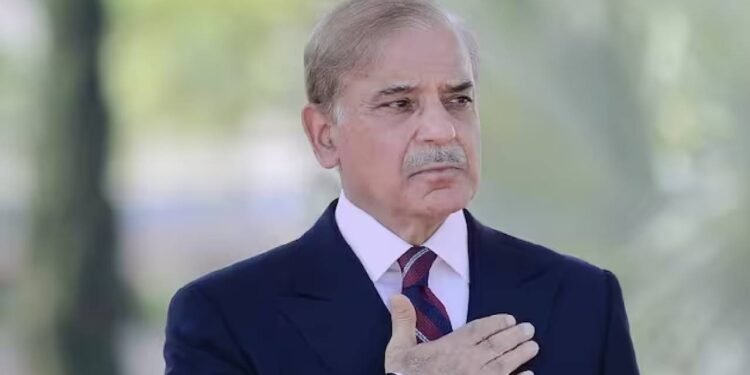 पाकिस्तान दंगा निरोधी बल गठित करेगा, शरीफ ने इस्लामाबाद में हुई अराजकता के बाद सख्त कार्रवाई का वादा किया, पीटीआई को 'आतंकवादियों का समूह' कहा