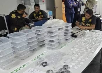 दक्षिण कोरियाई व्यक्ति को पेरू में जंगली जानवर तस्करी के आरोप में गिरफ्तार किया गया