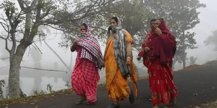 पेटीकोट कैंसर एक गंभीर स्वास्थ्य समस्या बनकर सामने आ रहा है, खासकर उन महिलाओं के लिए जो नियमित रूप से साड़ी पहनती हैं।
