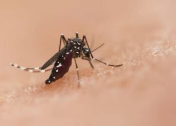 वैज्ञानिकों ने मच्छरों से फैलने वाली बीमारियों को नियंत्रित करने के लिए एक नया तरीका विकसित किया है