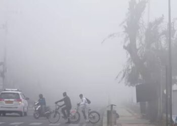 क्रिसमस की सुबह दिल्ली को घनी धुंध ने ढका, हवाई और रेल यातायात प्रभावित