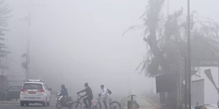 क्रिसमस की सुबह दिल्ली को घनी धुंध ने ढका, हवाई और रेल यातायात प्रभावित