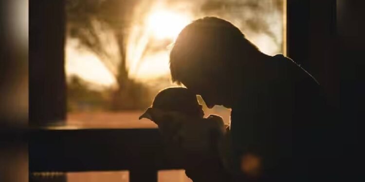 क्या टाइट अंडरवियर आपके पिता बनने की संभावना को नुकसान पहुंचा सकता है?