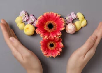 रजोनिवृत्ति प्रबंधन के लिए समग्र दृष्टिकोण: मानसिक, शारीरिक और भावनात्मक कल्याण को एकीकृत करना