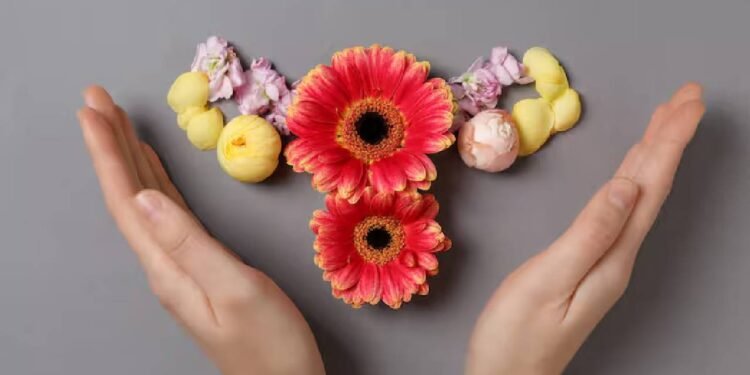 रजोनिवृत्ति प्रबंधन के लिए समग्र दृष्टिकोण: मानसिक, शारीरिक और भावनात्मक कल्याण को एकीकृत करना