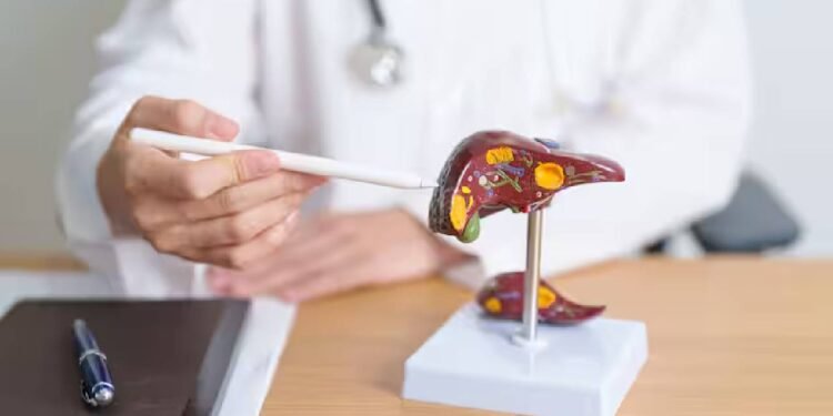 छुट्टियों के मौसम में लीवर को डिटॉक्सीफाई करना: स्वस्थ लीवर के लिए डॉक्टर द्वारा अनुमोदित टिप्स