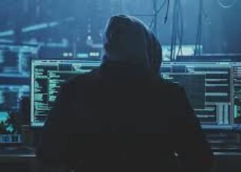 2024 में साइबर अपराधों में तेज़ी, क्रिप्टोकरेंसी पर मुख्य हमला