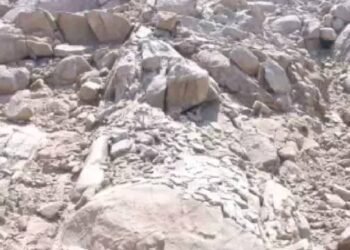 Optical Illusion: केवल तेज-तर्रार व्यक्ति ही इस चट्टानी पर्वत की तस्वीर में 4 हिरणों को देख सकता है