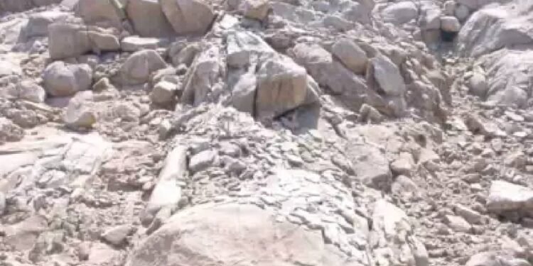 Optical Illusion: केवल तेज-तर्रार व्यक्ति ही इस चट्टानी पर्वत की तस्वीर में 4 हिरणों को देख सकता है