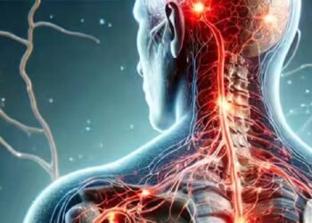 पुणे में संदिग्ध गुइलेन-बैरे सिंड्रोम के मामले बढ़कर 111 हुए, 13 वेंटिलेटर सपोर्ट पर