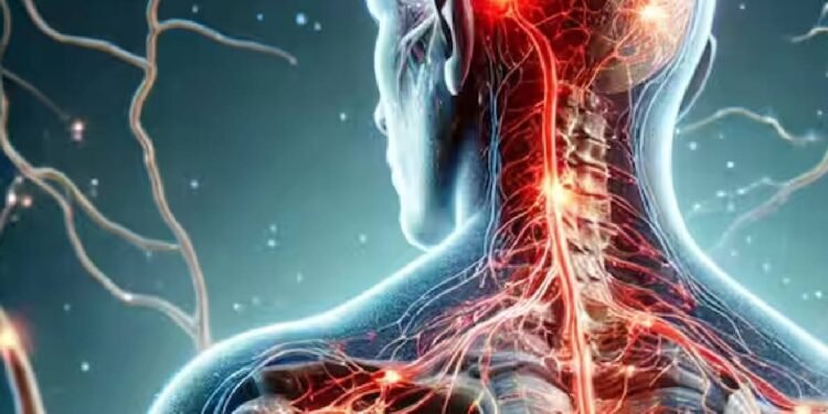 पुणे में संदिग्ध गुइलेन-बैरे सिंड्रोम के मामले बढ़कर 111 हुए, 13 वेंटिलेटर सपोर्ट पर