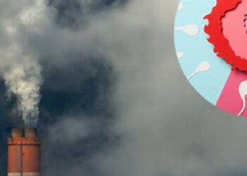 प्रदूषण का दृष्टि पर गुप्त प्रभाव: एक अग्रणी रेटिना विशेषज्ञ की अंतर्दृष्टि