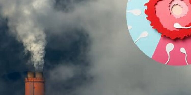 प्रदूषण का दृष्टि पर गुप्त प्रभाव: एक अग्रणी रेटिना विशेषज्ञ की अंतर्दृष्टि