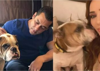 सलमान खान के पालतू कुत्ते टोरो की मौत, अफवाह फैलाने वाली गर्लफ्रेंड यूलिया वंतूर ने दी भावपूर्ण श्रद्धांजलि: तुम हमेशा हमारे साथ रहोगे