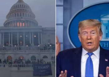 नव-निर्वाचित राष्ट्रपति डोनाल्ड ट्रम्प अपने कार्यकाल के पहले दिन 6 जनवरी के कैपिटल दंगाइयों के 1500 से अधिक लोगों को कर सकते हैं क्षमा