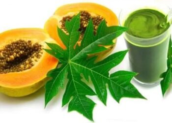 हफ्ते में एक बार पिएं पपीते के पत्ते का जूस, शरीर में होंगे 8 बदलाव, हर कोई पूछेगा हाल-चाल