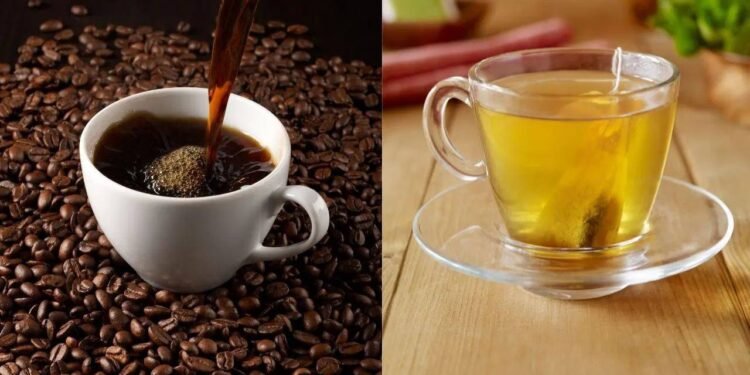 ब्लैक कॉफी या ग्रीन टी...स्वास्थ्य के लिए कौन सी बेहतर है? जानें विशेषज्ञ की राय