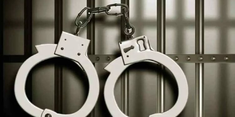 पाकिस्तानी तस्करों से जुड़े बड़े हथियार तस्करी नेटवर्क का भंडाफोड़, 2 गिरफ्तार, 5 पिस्तौल जब्त