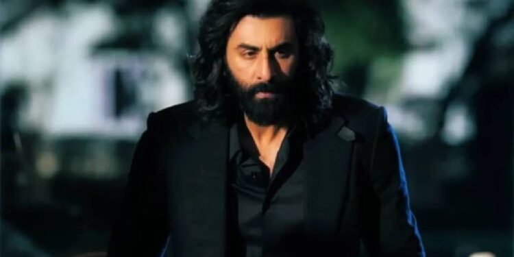 बॉक्स ऑफिस पर फ्लॉप रहीं ये 5 फिल्में, इनमें से 3 में नजर आईं कैटरीना कैफ