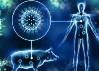 H1N1 वायरस फिर फैल रहा, 516 लोग संक्रमित, 6 मरीजों की मौत