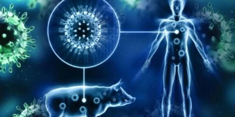 H1N1 वायरस फिर फैल रहा, 516 लोग संक्रमित, 6 मरीजों की मौत