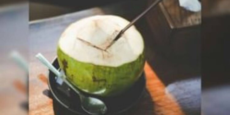 रोज सुबह पिएं नारियल पानी, शरीर को मिलेंगे ये 7 कमाल के फायदे