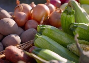 सभी हरी सब्जियाँ स्वास्थ्यवर्धक नहीं होतीं: मधुमेह रोगियों को इन सब्ज़ियों से बचना चाहिए