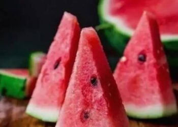 क्या आपका तरबूज़ सुरक्षित है? इस गर्मी में रासायनिक तरीक़े से पकाए गए तरबूज़ को पहचानना सीखें