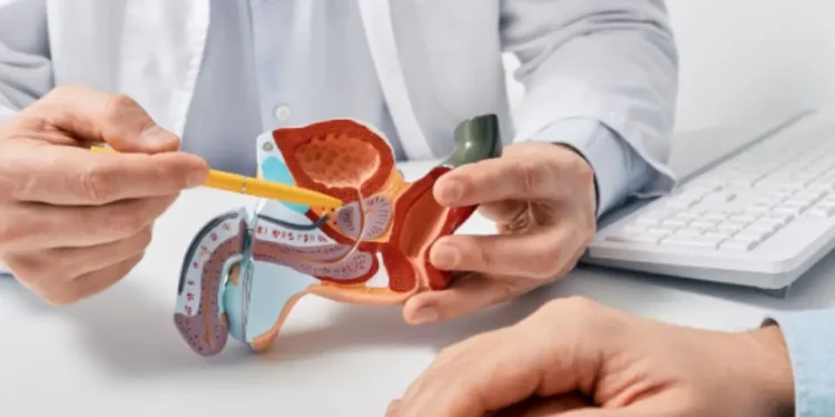 पुरुषों में इन 5 कैंसर का खतरा अधिक: लक्षण और बचाव के उपाय बताए गए