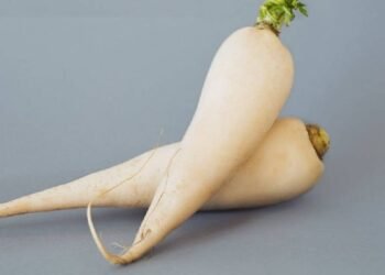 मूली पोषक तत्वों से भरपूर होती है... लेकिन इन लोगों को इसे खाने से बचना चाहिए