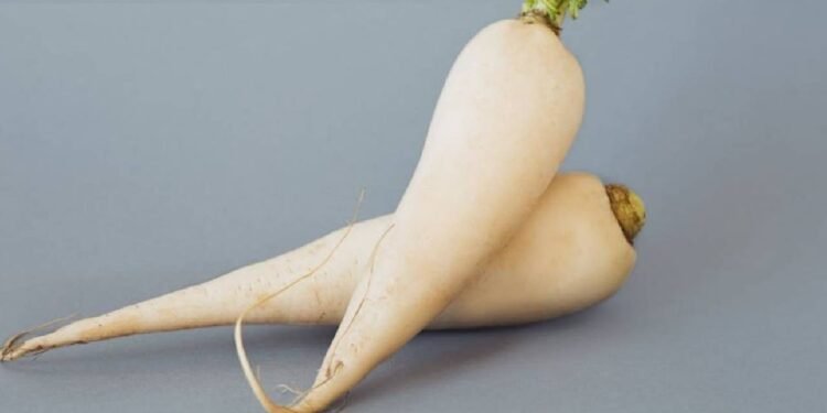 मूली पोषक तत्वों से भरपूर होती है... लेकिन इन लोगों को इसे खाने से बचना चाहिए