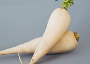 मूली पोषक तत्वों से भरपूर होती है... लेकिन इन लोगों को इसे खाने से बचना चाहिए