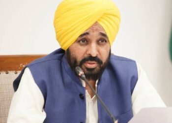 पंजाब सरकार ने जलालाबाद मंडी में रेहड़ी वालों को दी सुरक्षित और सम्मानजनक नई सुविधाएं