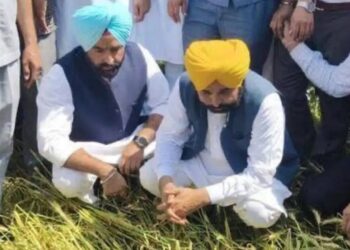 खेता में पहुंचे सीएम मान, किसानों की बात सीधी सुनी, हल भी मौके पर तुरंत