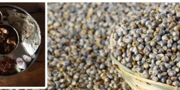 सर्दियों में रोज़ दो बाजरे की रोटियां खाने से शरीर में क्या बड़ा असर पड़ता है