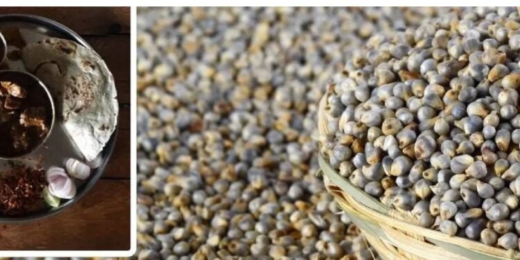 सर्दियों में रोज़ दो बाजरे की रोटियां खाने से शरीर में क्या बड़ा असर पड़ता है