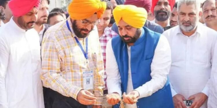 मान सरकार ने रचा इतिहास, 150 लाख टन धान खरीदकर किसानों को दी बड़ी राहत