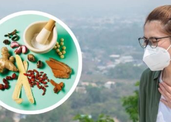 पॉल्यूशन बढ़ा रहा खांसी-खराश की दिक्कत, घर के ये देसी नुस्खे तुरंत देंगे आराम