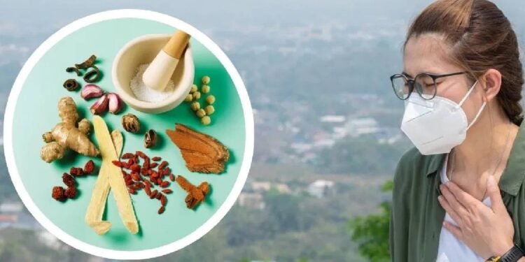 पॉल्यूशन बढ़ा रहा खांसी-खराश की दिक्कत, घर के ये देसी नुस्खे तुरंत देंगे आराम