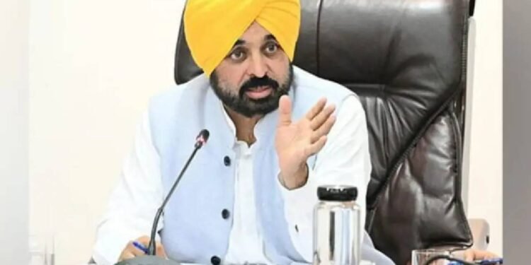 मान सरकार की नई पहल से बदलेगी शिक्षा की दिशा, पंजाब युवा उद्यमिता योजना से छात्रों का भविष्य होगा मजबूत