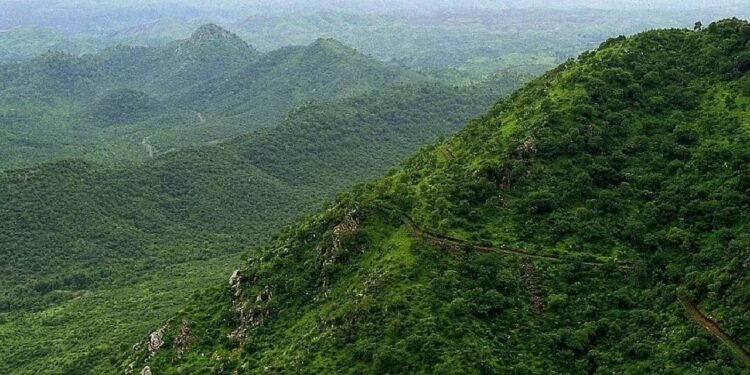 रावली में खनन पर केंद्र का बड़ा वार, मोदी सरकार ने पर्यावरण बचाने के लिए सभी राज्यों को साफ और सख़्त निर्देश