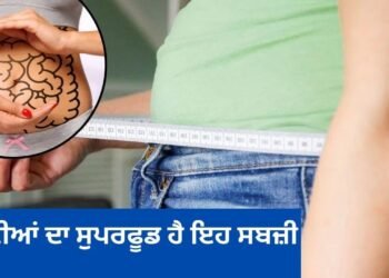 आंत की सेहत होगी मजबूत, पेट की चर्बी होगी गायब, सर्दियों में खाएं ये विटामिन-फाइबर से भरपूर सब्जी