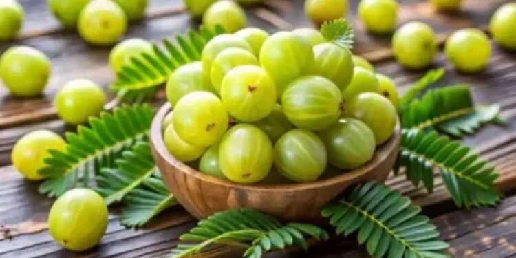 सर्दियों में आंवला सेहत का खजाना, एक्सपर्ट ने बताया इसे खाने का सबसे सही तरीका