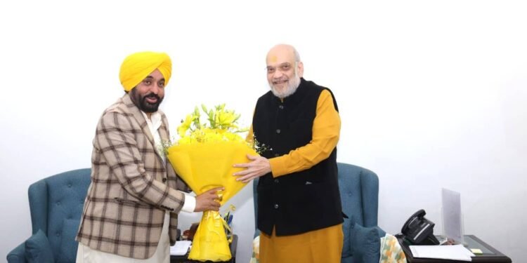 सीमा पर बदलेगी खेती की किस्मत, फेंस हटने से पंजाब के किसानों को मिलेगी बरसों बाद असली आज़ादी