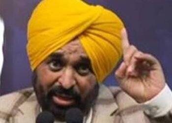 जिला परिषद में जीतने वाले विधानसभा भी जाएंगे: CM मान