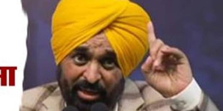 जिला परिषद में जीतने वाले विधानसभा भी जाएंगे: CM मान